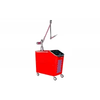 Laser Neodimio Yag Pulsar TL-600 Neo rojo Laser Neodimio Yag Pulsar TL-600 Neo rojo